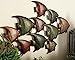 Deco 79 Metal Fish Home Wall Decor Indoor Outdoor Wall Sculpture, Wall Art 26