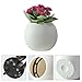 Self Watering Planter Modern Decorative Planter Pot (White)