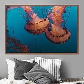 signwin Framed Canvas Wall Art Jellyfish Floating Colorful...