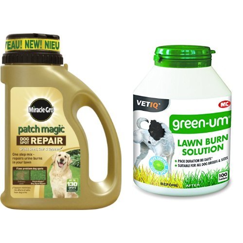 Scotts MiracleGro Patch Magic Dog Spot Repair Shaker Jar, 1293 g