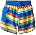 i play. by green sprouts Swim Trunks with Built-in Reusable Swim Diaper | Baby Boy Swimsuit | Lightweight, Patented Design