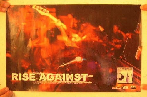 Rise Against Poster Concert Shot