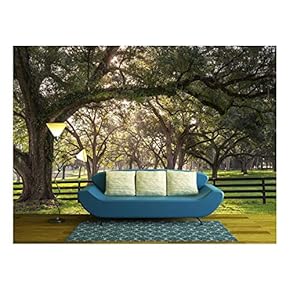 Large Oak Tree Branch with Farm Fence in The Rural Countryside - Removable Wall Mural | Self-Adhesive Large Wallpaper - 66x96 inches