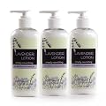 Northwest Naturals Lotion, Lavender, (Pack of 3)