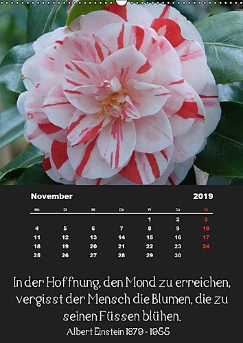 Get Blumen schoenheit spruch For iPhone Blumen Schoenheit Spruch