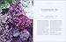 Lilacs for the Garden