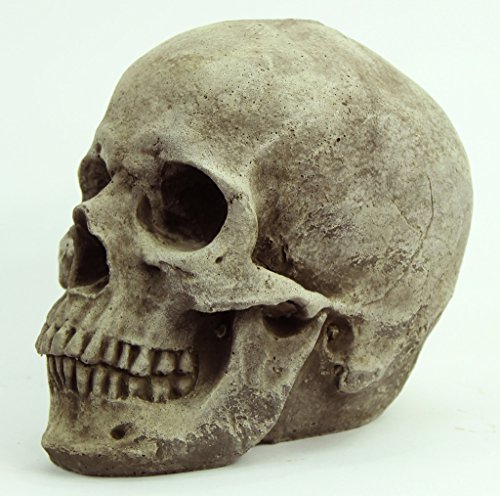 Skull Head Concrete Garden Statue Cement Figurine Cast Stone Halloween