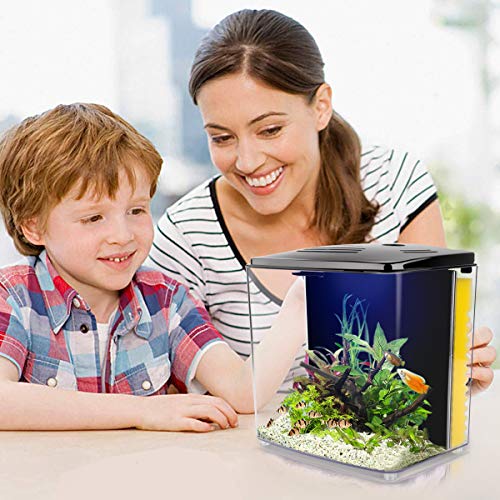 YCTECH 1.4 Gallon Betta Aquarium Starter Kits, Fish Tank with LED Light and Filter Pump White Black (220black)