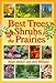 Best Trees and Shrubs For The Prairies (Prairie Gardener)