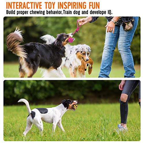 Dog Squeaky Toys No Stuffing, Pet Crinkle Dog Toy with Durable Double