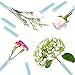 Floral Water Tubes 20pcs Rose Flower Picks Tubes Milkweed Cuttings Vials Clear Green Plastic Tubes for Flower Arrangements Craft Supply Eco Friendly - 2.85