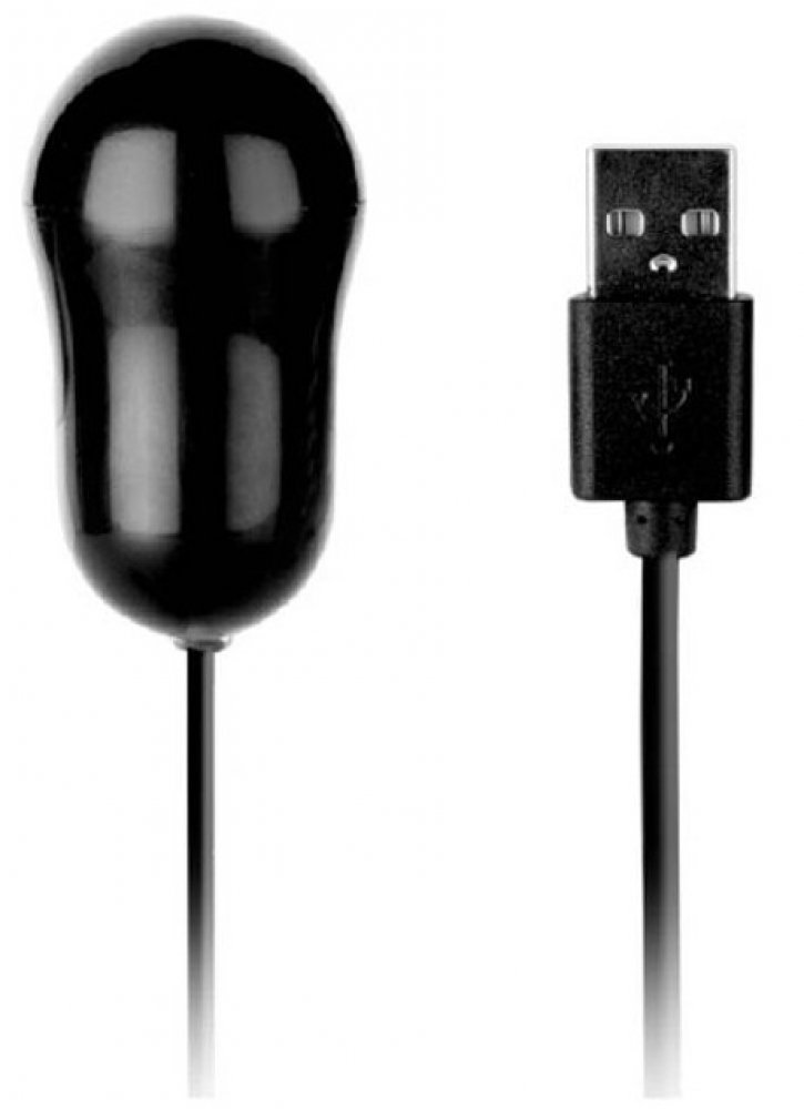 Dream Toys Large Black Let US-B Bullet