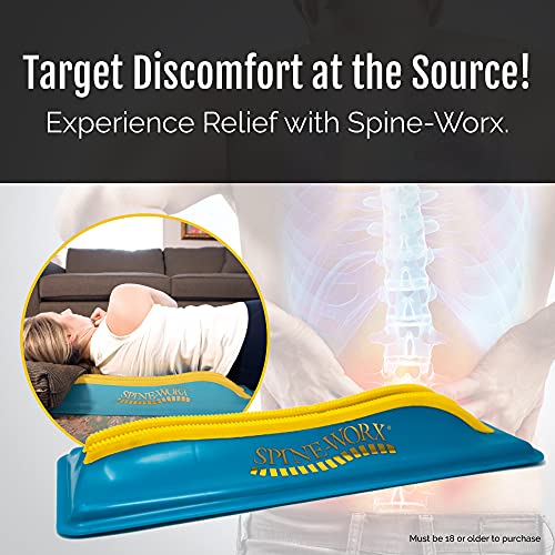 realigned spine pillow