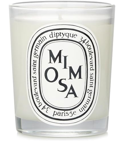Amazon.com: DIPTYQUE City Candle Shanghai : Home & Kitchen