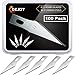 Gejoy Hobby Blades Set in Storage Case, 11 Replacement Blade for Hobby Knife Cutting Tool for Art Cutting, Sculpture, Scrapbooks (100)