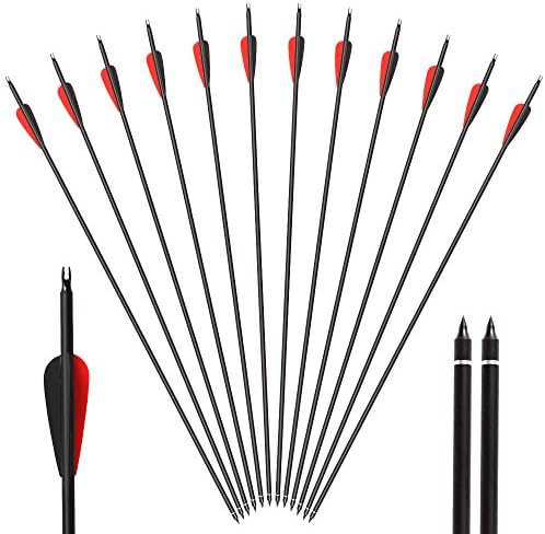 30 Inch Carbon Arrow Archery Easton Arrows Shafts Fletched 3 Inch Vane With Removable Tips for Recurve Compound Bow Targeting or Hunting