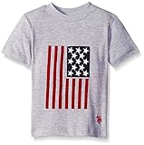 U.S. Polo Assn. Boys' Crew Neck Iconic Graphic Logo T-Shirt, SD04-Light Heather Gray, 14/16