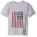U.S. Polo Assn. Boys' Crew Neck Iconic Graphic Logo T-Shirt,SD04-Light Heather Gray, 5/6