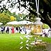 200 Pack White Origami Paper Crane Hand-Made DIY Crane for Wedding Party Banner Hanging Backdrop Decor- A Symbol of Happiness Good Luck & Peace