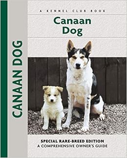 canaan terrier