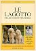 Lagotto et les chiens truffiers by