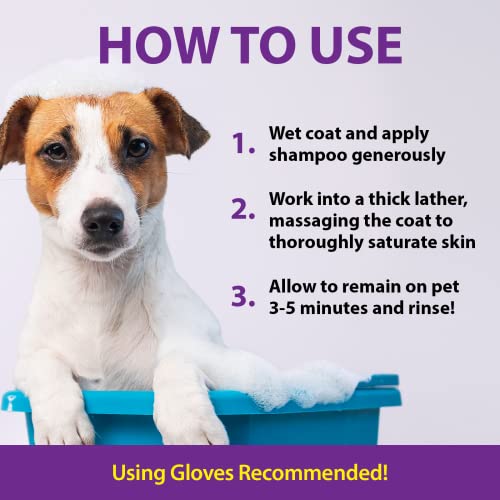 DeSkunk Odor Destroying Shampoo for Dogs, 32 oz. Formulated with