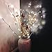 Novobey Lighted Twig Branches Lights, 30 Inches 20 LED Battery Operated Artificial Tree Willow Branches Lamp for Home Holiday Party Decoration Decor (Warm White)