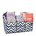 Collapsible Nursery Bin Organizer & Baby Diaper Storage Caddy For Home Car & Trunk! Best Portable Easy Clean Cloth Container To Store Travel & Carry More Toys Groceries Dog & Pet Supplies Too!