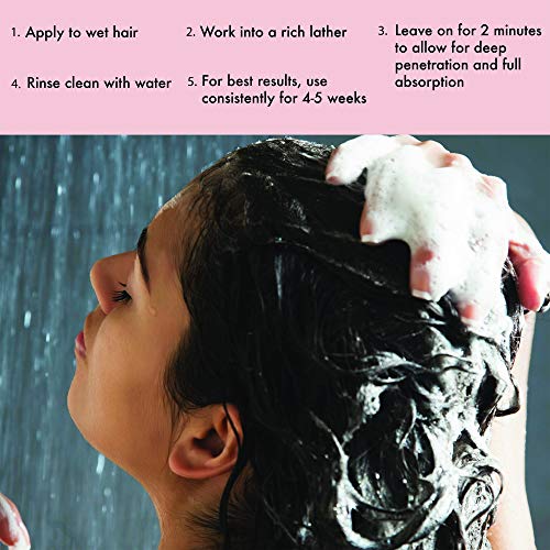 LISCH 100 Natural Head Lice Shampoo That Kills Eggs and Lice Organic Head Lice Treatment