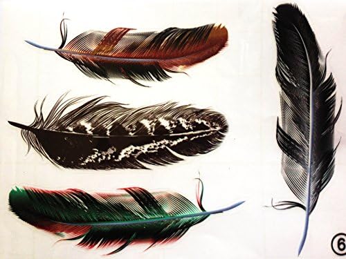 SHANG MEDING DIY Car Bumper Stickers Scratch New Feather Design cool vinyl window custom truck clings vehicle graphics design Waterproof decals (NO6)