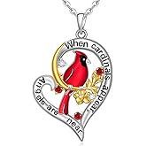 Fenthring Cardinal Necklace Sterling Silver Heart Red Cardinal Gifts for Women Pendant Memorial Sympathy Bird Charms Mothers Day Christmas Gifts