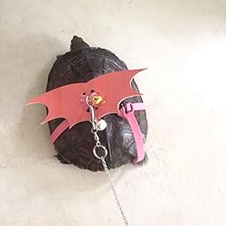 Turtle Harness and Leash with Wings Tortoise Leash