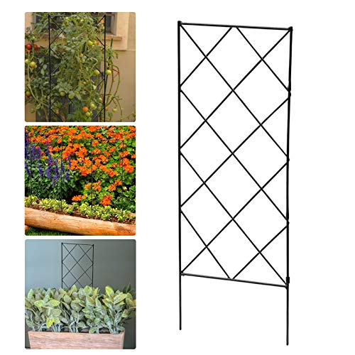 ELT Schmiedeeisen Faltbare Blumenstütze Garten Rankgitter Pflanzenstütze zum Klettern Faltbare Reben und Blumenständer… – Bild 6