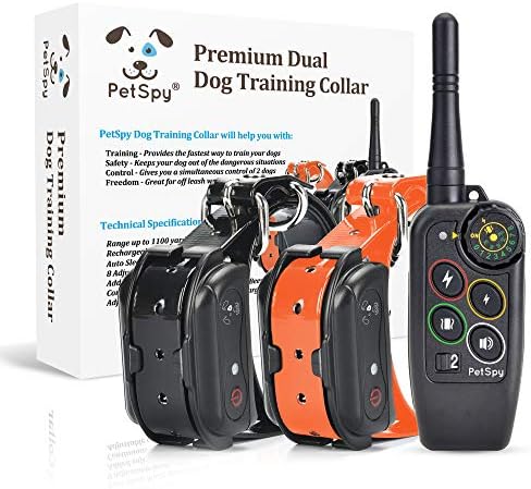 dog training without shock collar
