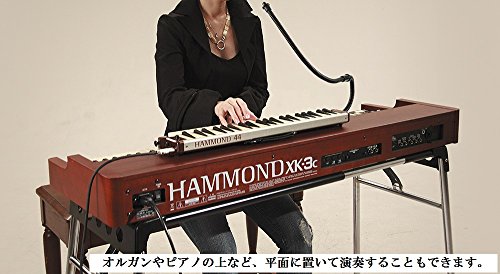 Suzuki hammond melodion