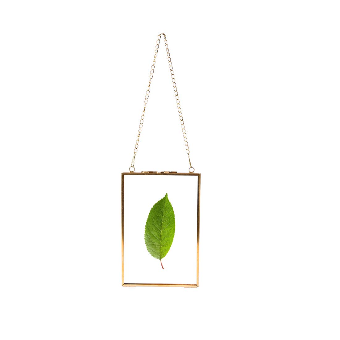 C&Z Hanging Wall Glass Frame for Pressed Flowers Gold Rectangle Shaped Double Sided Glass Floating Picture Frame for Dried Leaf Plants Artwork Specimen Clip with Chain