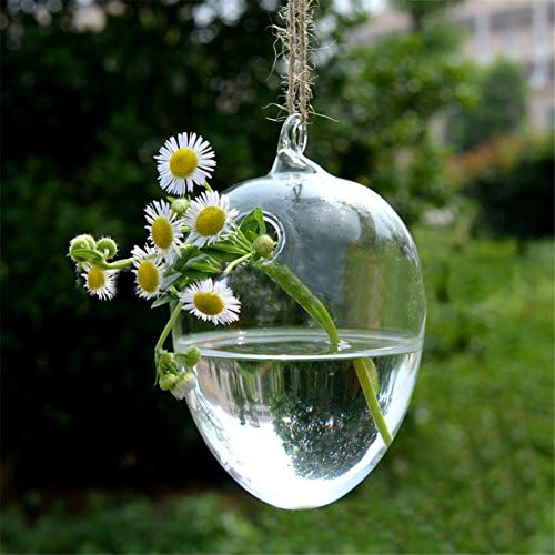 MISS MINI Creative Lovely Egg Shape Clear Glass Hanging Vase Hydroponic Container Wedding Party Decor