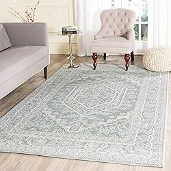 SAFAVIEH Adirondack Collection Area Rug - 9' x