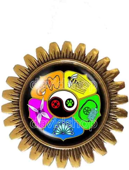 Handmade Fashion Jewelry Cosplay Peacock Cat Noir Volpina Rena Rouge Queen Bee Miraculous Ladybug Miracle Box Chest Master Fu Brooch Badge Pin Cute Gift Symbol