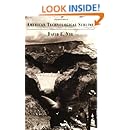 American Technological Sublime (MIT Press)