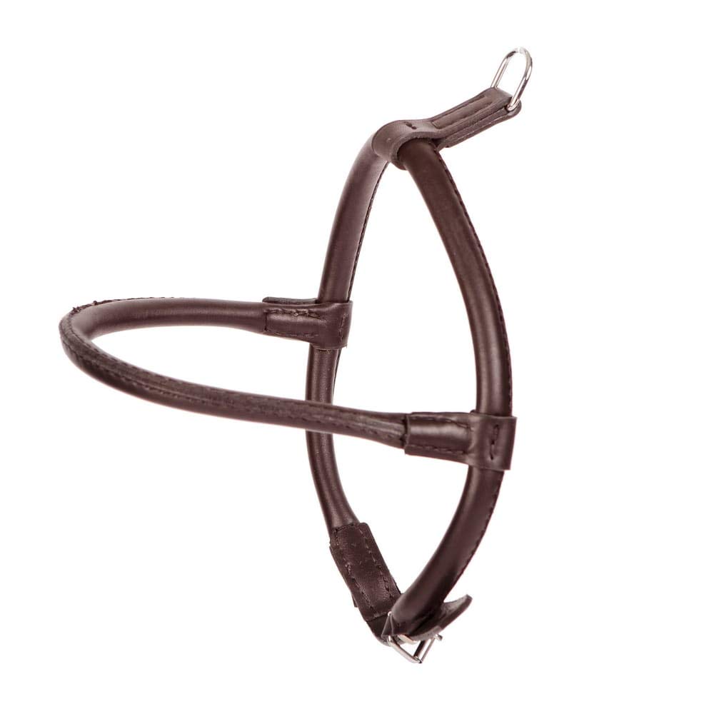 Dingo Brown Leather Harness for Chow Chow and Furry Dog Breed 10573