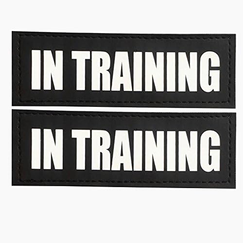 Kopowaes Magic Patch Reflective Tag for Dog Harness SERVICE DOG / IN TRAINING (S:4.3"x1.57", IN TRAINING)