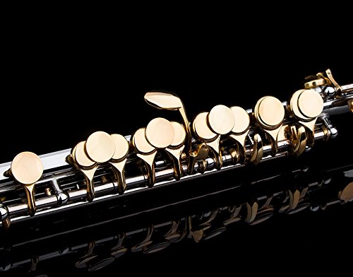 Glory Key of C Piccolo with Case, Joint Grease, Cleaning Cloth and Rod, and Gloves, Silver/Gold keys ~ More COLORS Available ! CLICK on LISTING to SEE All Colors - Thumbnail 4