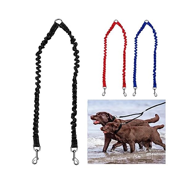 MEKEET-Bungee-Double-Dog-Coupler-Lead-No-Tangle-Two-2-Dog-Leash-and-Splitter-for-Walking-Puppy-Small-Medium-Large-dog-Black Bungee Double Dog Lead No Tangle Two 2 Dog Leash Coupler, For Walking Puppy, Small, Medium, Large dog, Adjustable 19.6…
