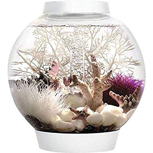 biOrb Classic 15 Aquarium with MCR – 4 Gallon, White