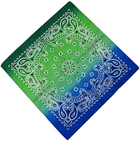 xsby 12 Piece Novelty Bandanas Paisley 100% Cotton Hearwear