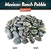 Mexican Beach Pebbles | 20 Pounds of Smooth Unpolished Stones | Hand-Picked, Premium Pebbles for Garden and Landscape Design | Black, 2 Inch - 3 Inch