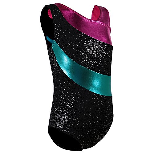 Toddler & Big Girls,One-piece Sparkle Stripes Gymnastics Athletic Leotard 2-16 Years (6A(Recommended age 4-5Y), BlackSleeveless)