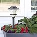 Sterno Home GL33966BK Low Voltage cast Aluminum 0.3W Path kit, 6-Pack Paradise Outdoor 10 LED, 120V, 6 Lumens, 2 Watts, Black, 6 Piece