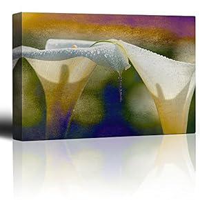 Cala Lilies on a Rainbow Watercolor Paint Background